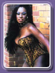 click here to view all female stripagrams
